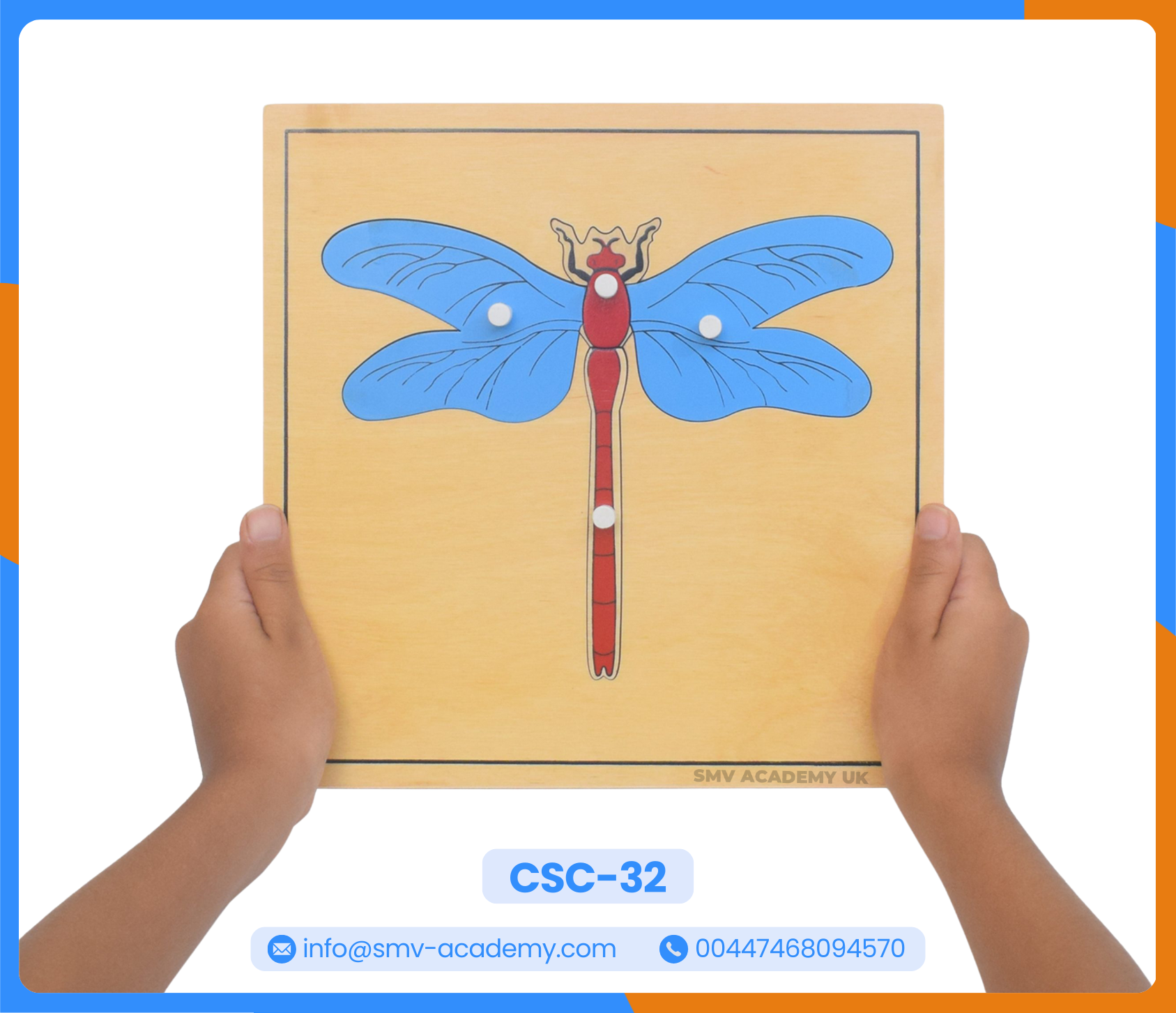 بازل أجزاء اليعسوب - Parts of a Dragon Fly Puzzle